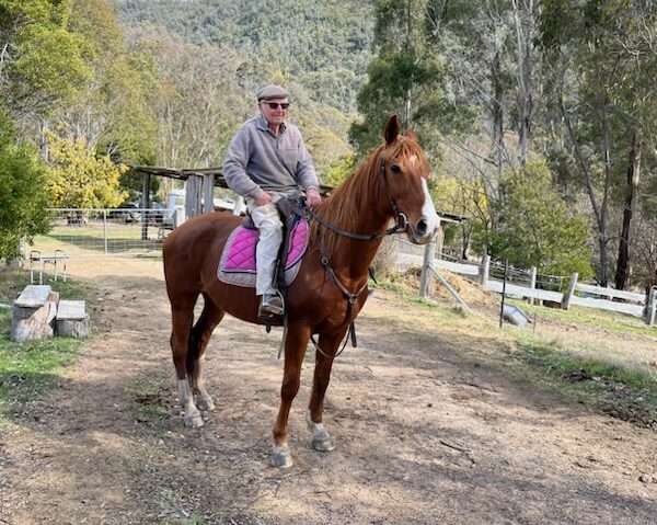 Horse riding after total hip replacement