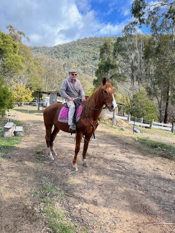 Horse riding after total hip replacement